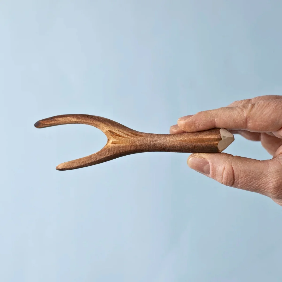 BumbuToys Wooden Tree - Black Poplar Branch - Image 3