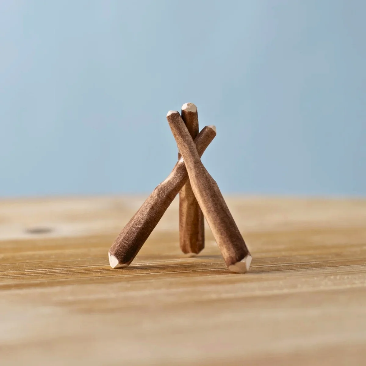 BumbuToys Wooden Tree - Black Poplar Twigs