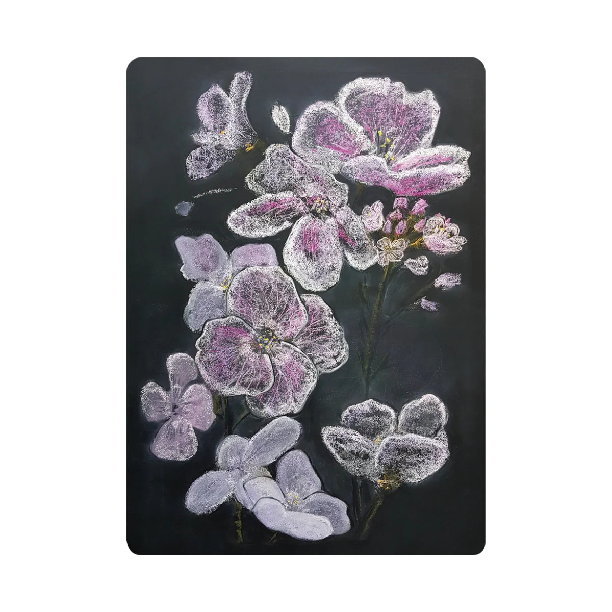 Chalkboard Art Cards - Cuckoo Flower, pack of 5 cards