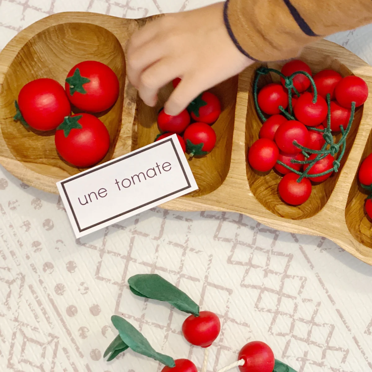 Erzi Tomato - Image 2
