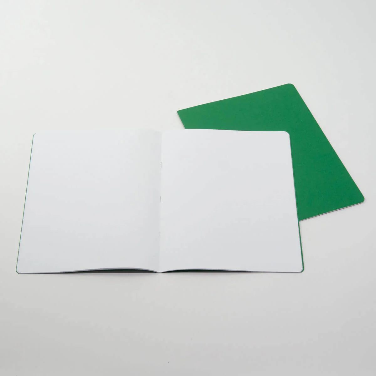 Junior Green Lesson Book 24x32cm Alternate Blank + Lined pgs - Pack of 10 - Image 4
