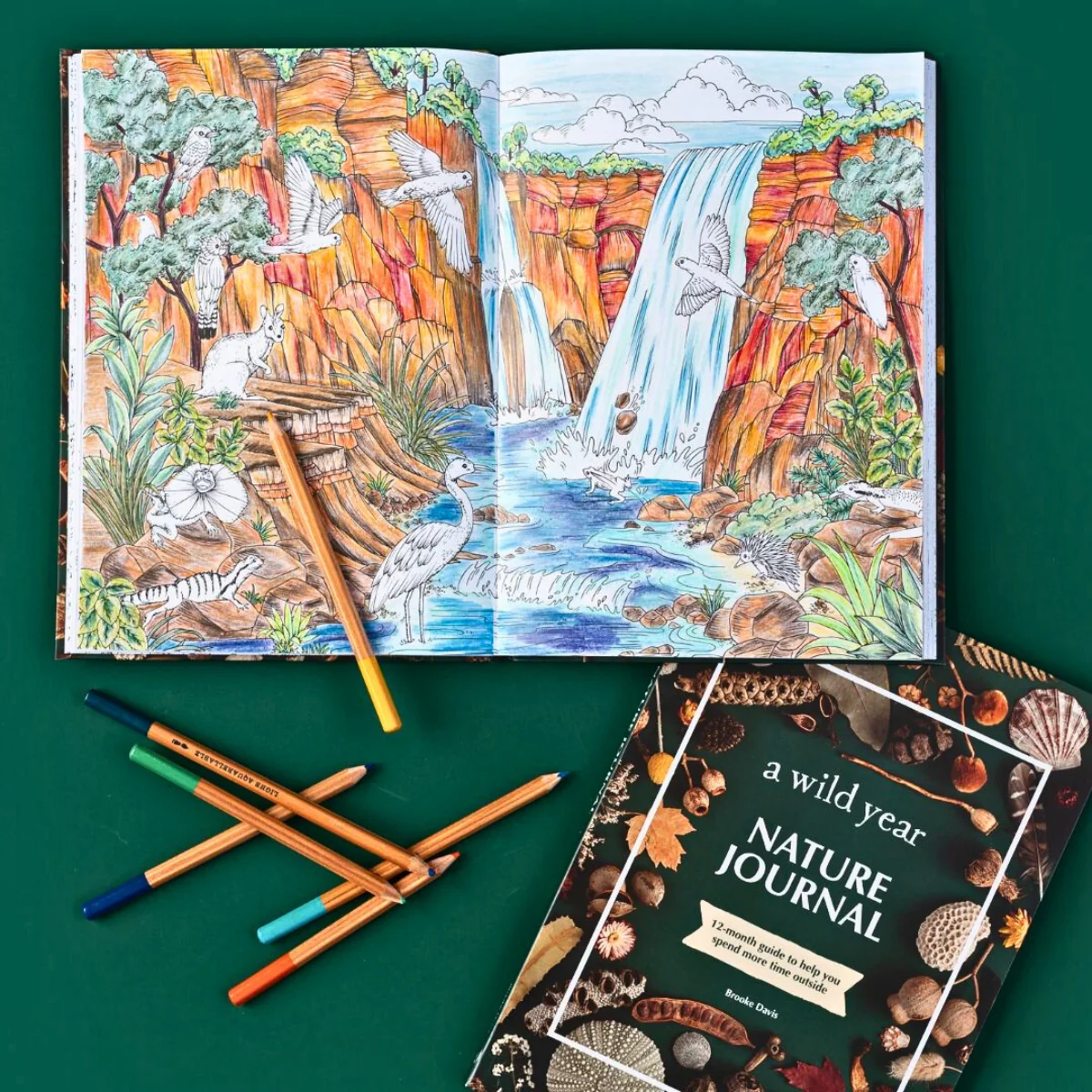 Your Wild Books - Nature Journals - Image 13