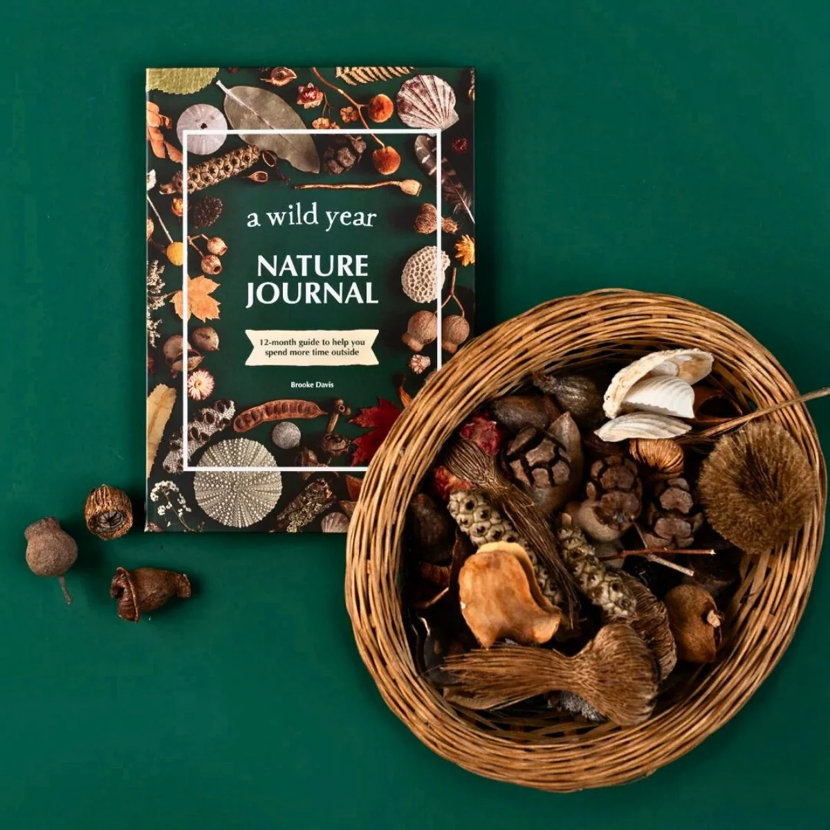 Your Wild Books - Nature Journals - Image 16