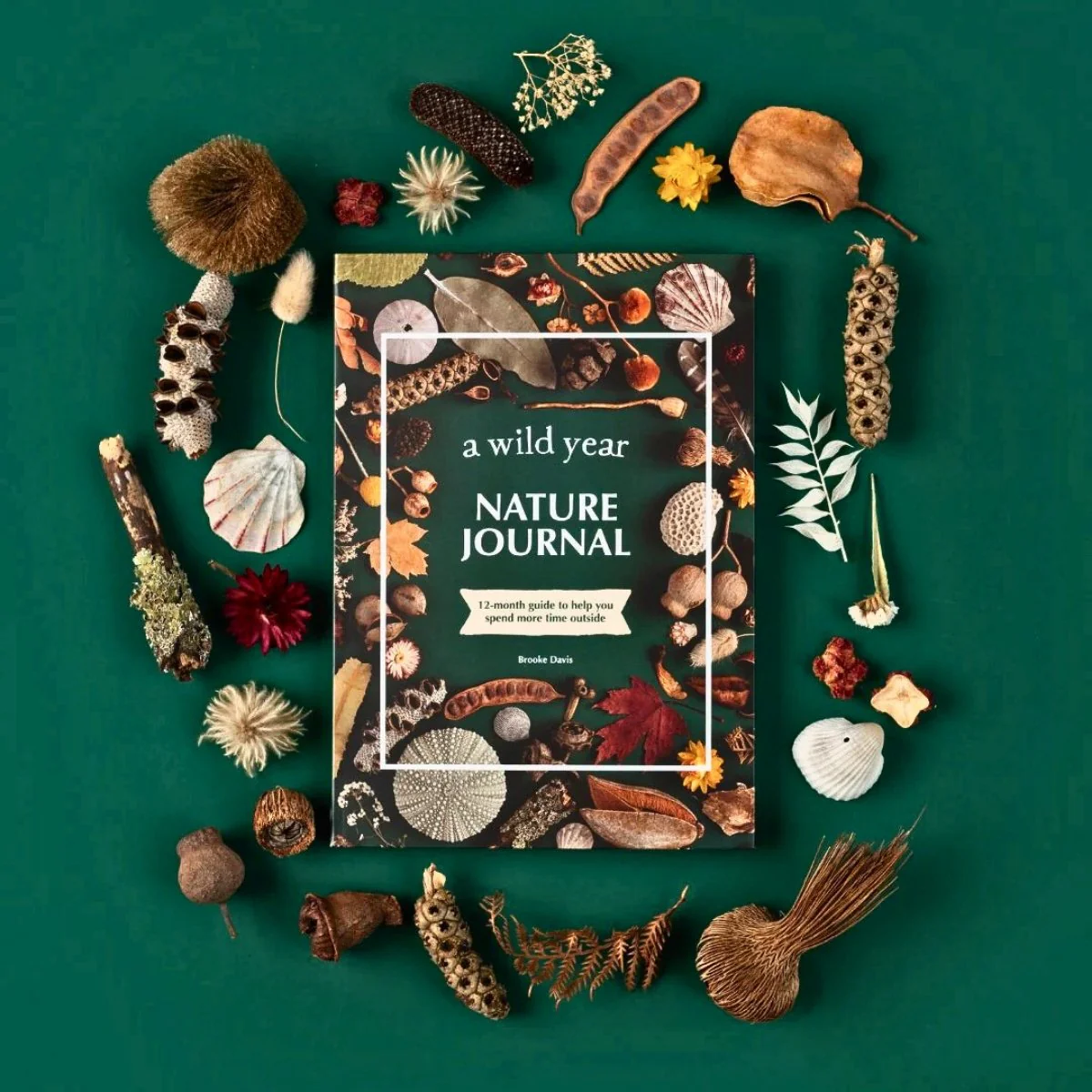Your Wild Books - Nature Journals - Image 17