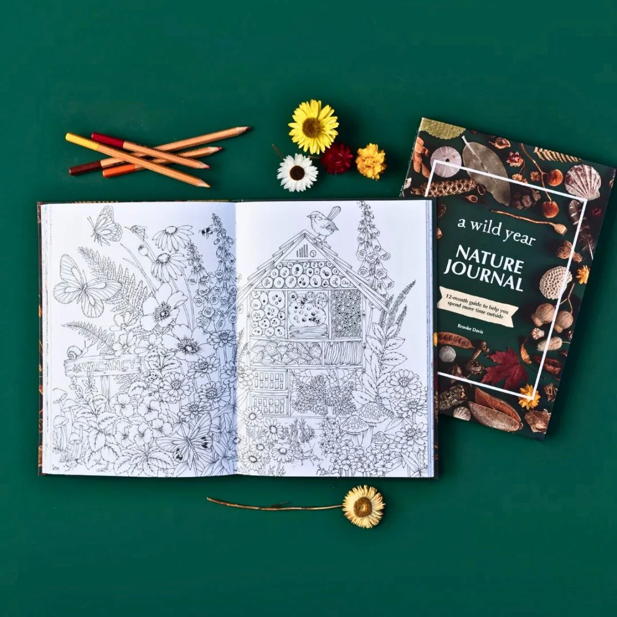 Your Wild Books - Nature Journals - Image 18