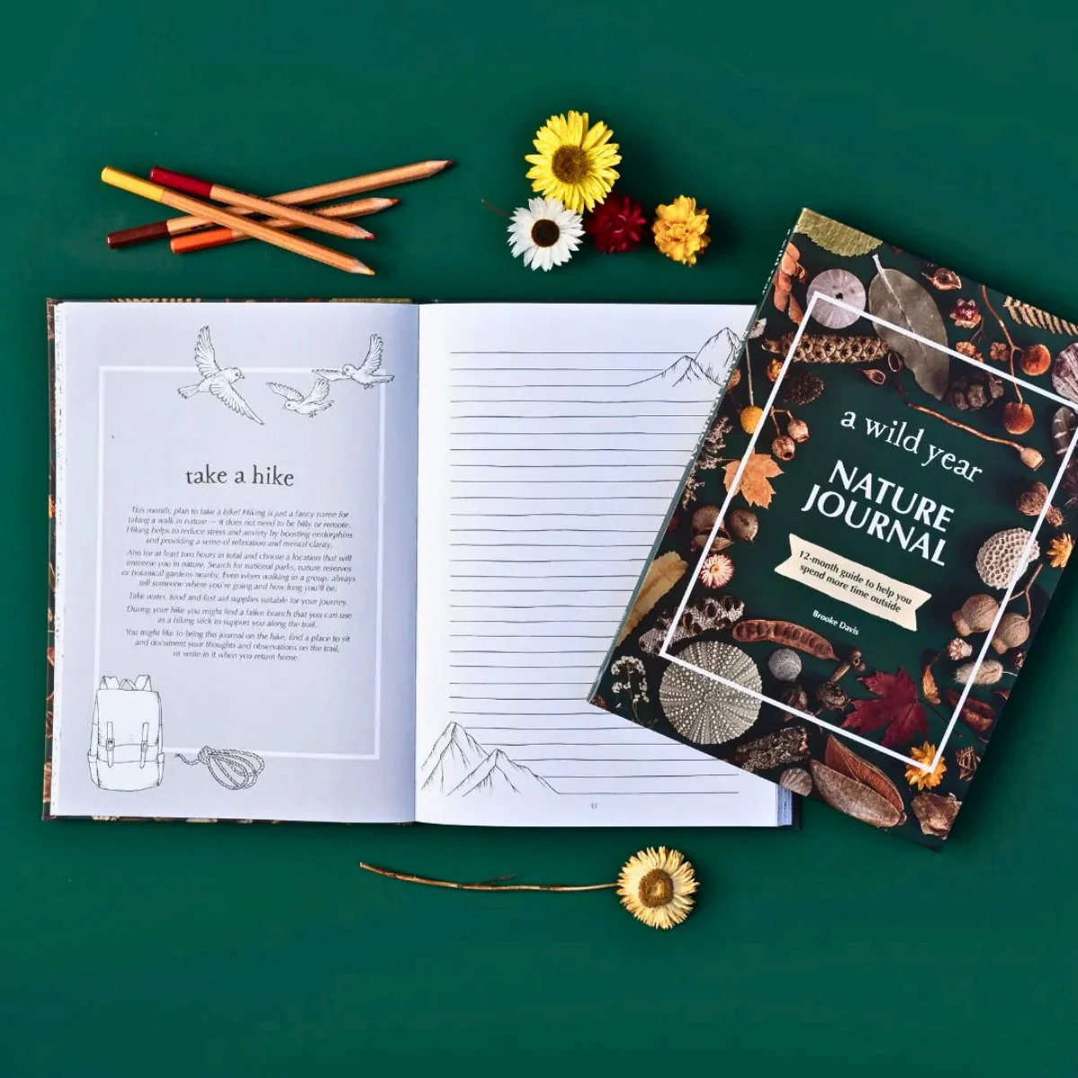 Your Wild Books - Nature Journals - Image 19