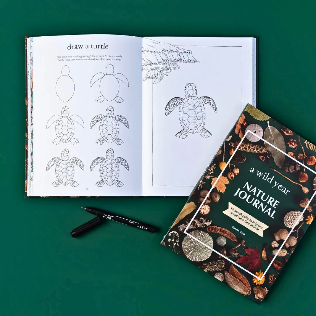 Your Wild Books - Nature Journals - Image 21
