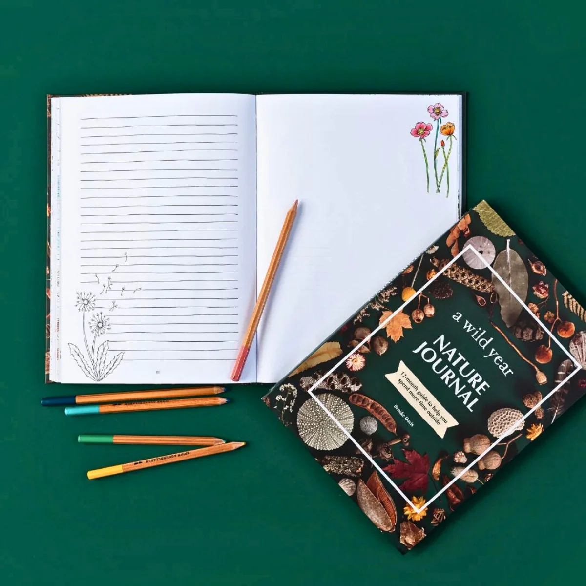 Your Wild Books - Nature Journals - Image 22