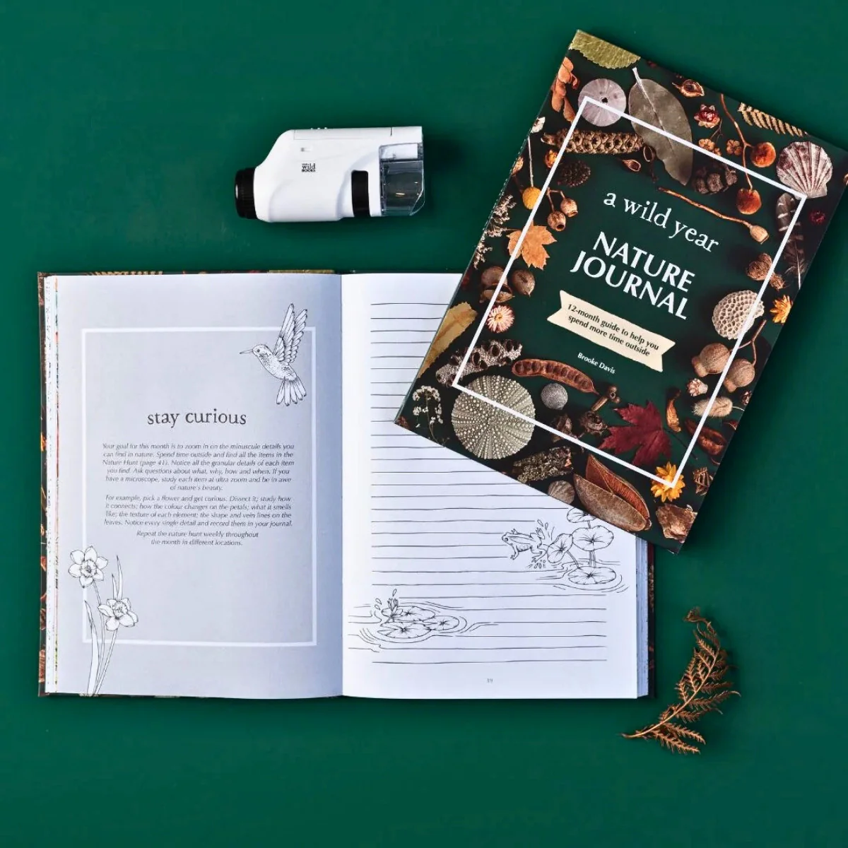 Your Wild Books - Nature Journals - Image 23