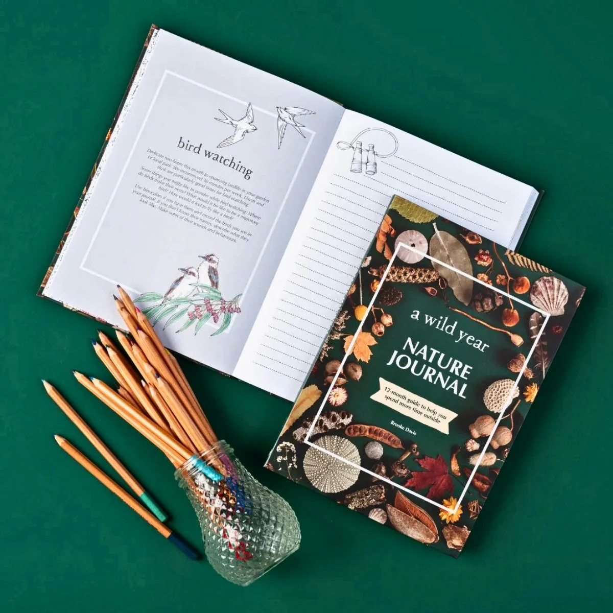 Your Wild Books - Nature Journals - Image 24