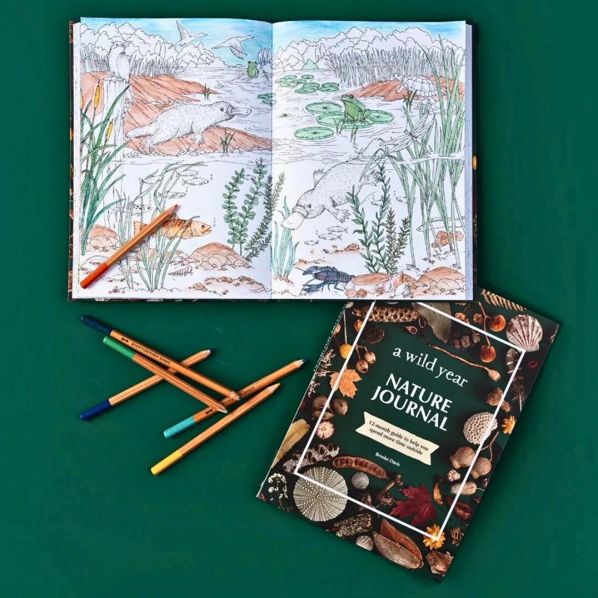 Your Wild Books - Nature Journals - Image 25