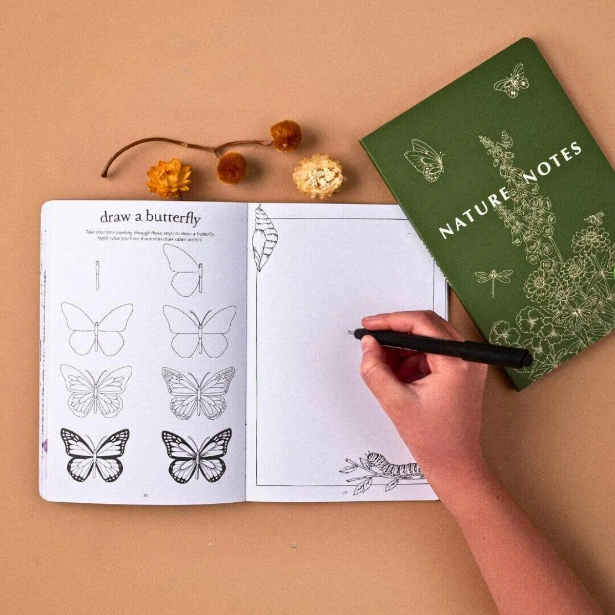 Your Wild Books - Nature Journals - Image 28