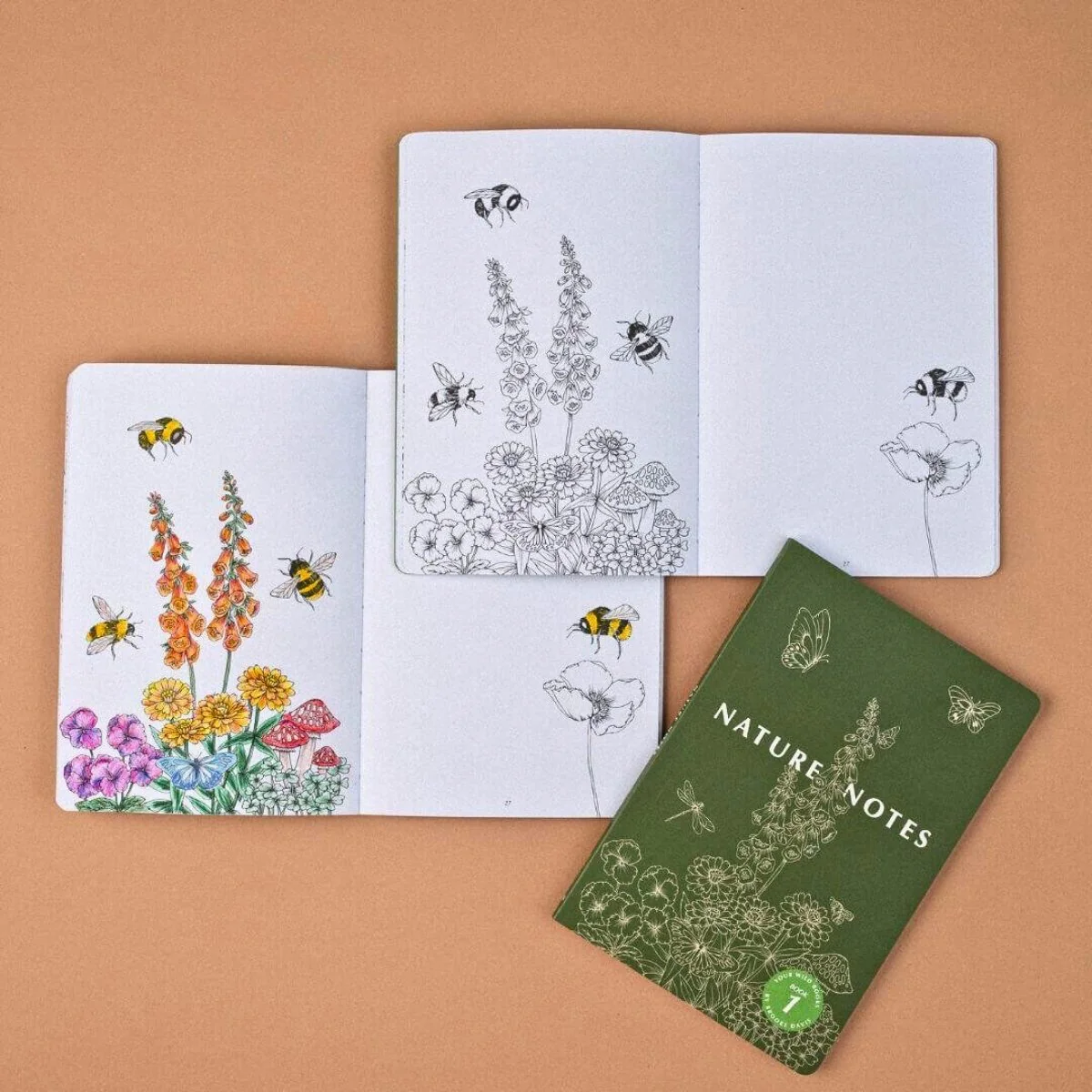 Your Wild Books - Nature Journals - Image 29