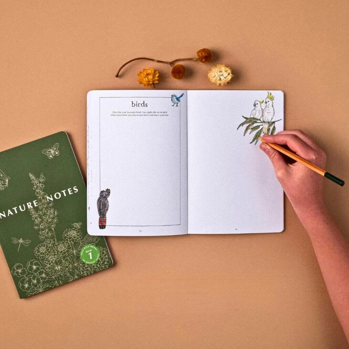 Your Wild Books - Nature Journals - Image 30