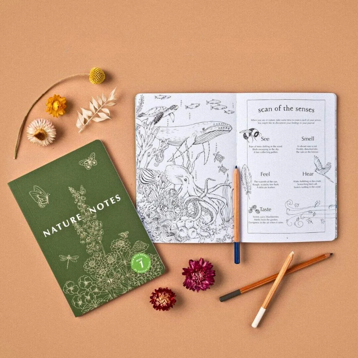Your Wild Books - Nature Journals - Image 34