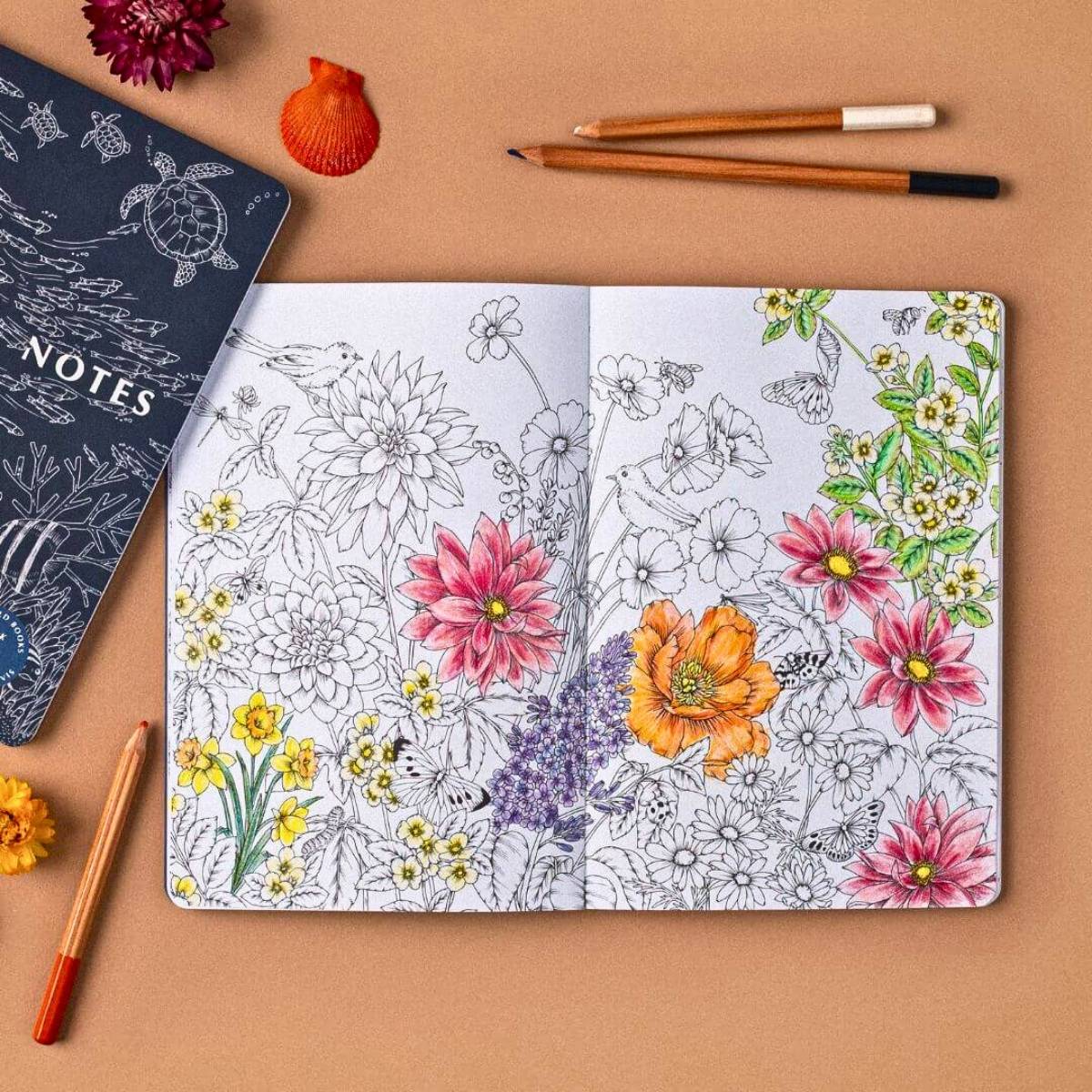 Your Wild Books - Nature Journals - Image 37