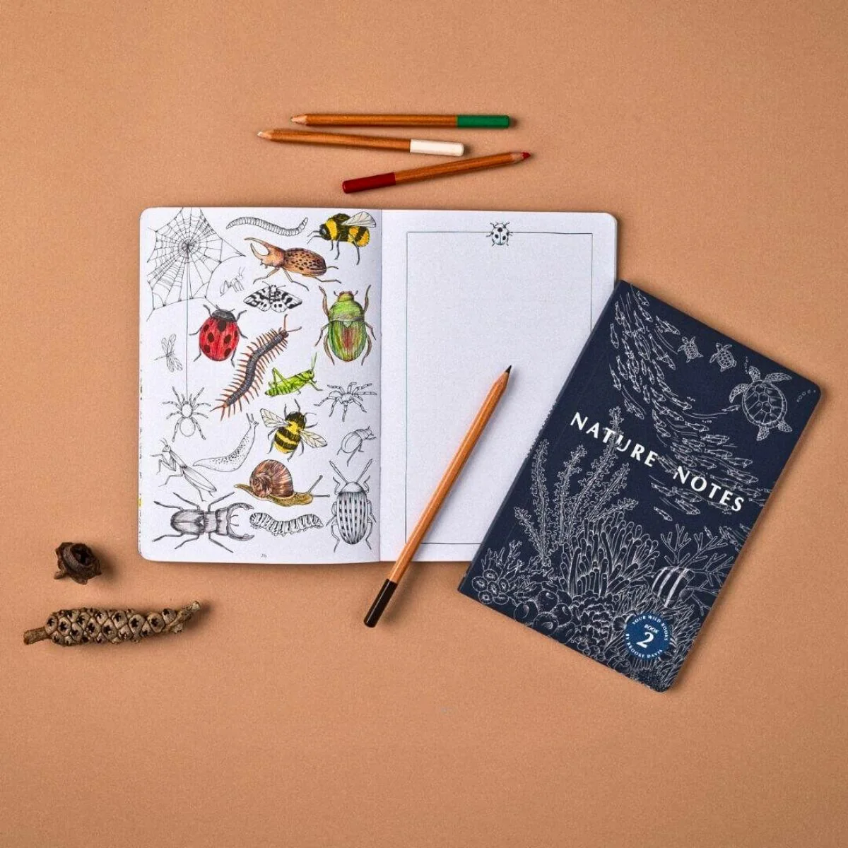 Your Wild Books - Nature Journals - Image 42