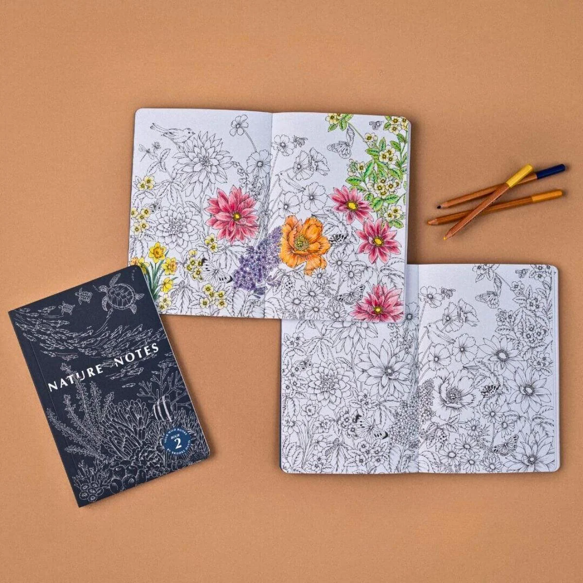 Your Wild Books - Nature Journals - Image 43