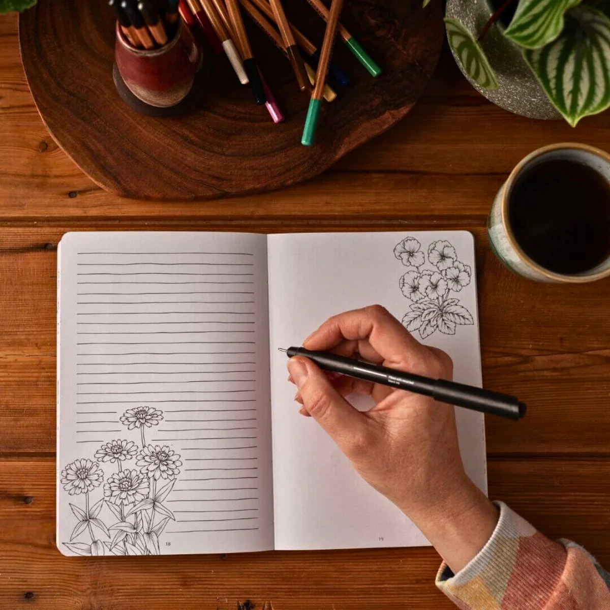 Your Wild Books - Nature Journals - Image 6