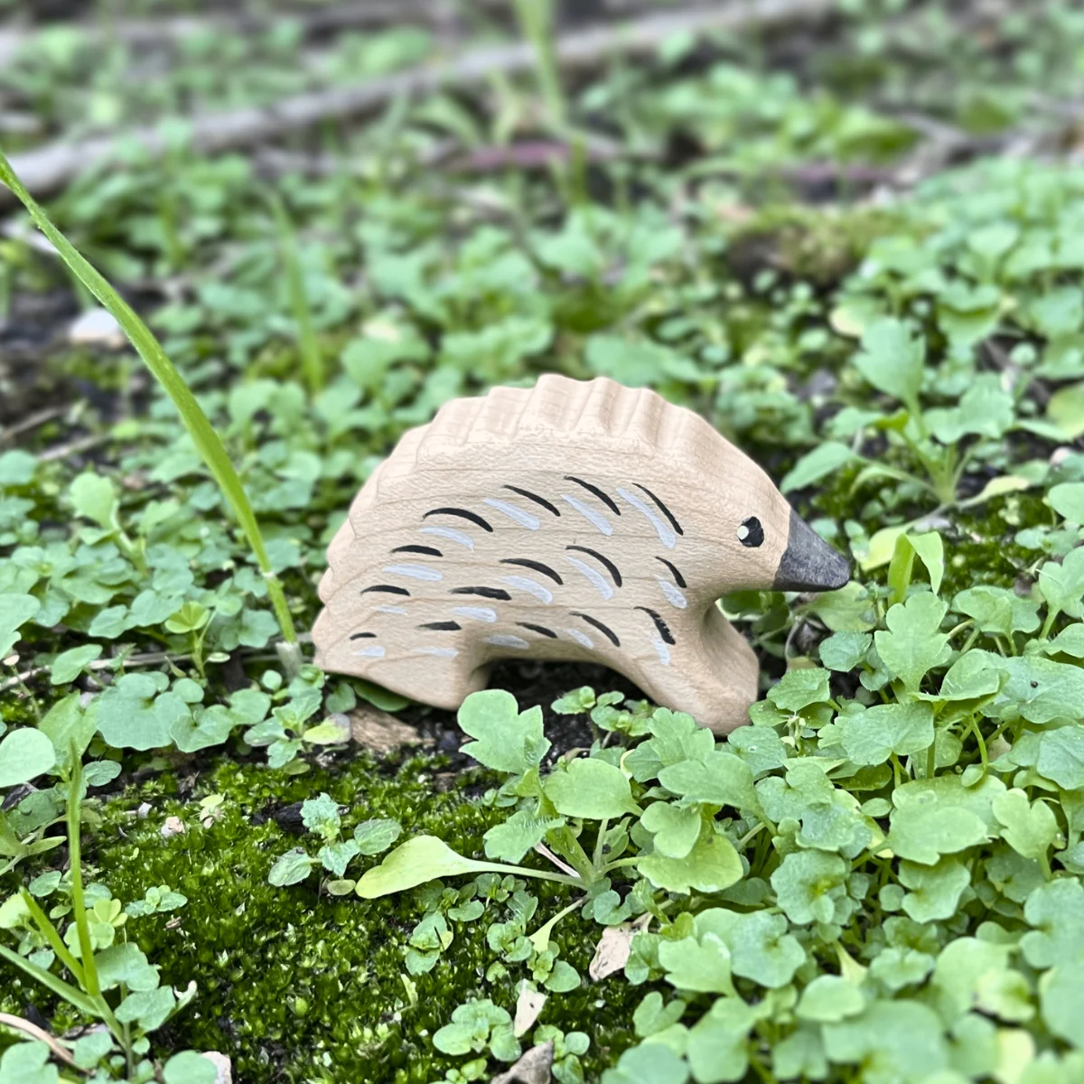 NOM Handcrafted - Echidna - Image 3