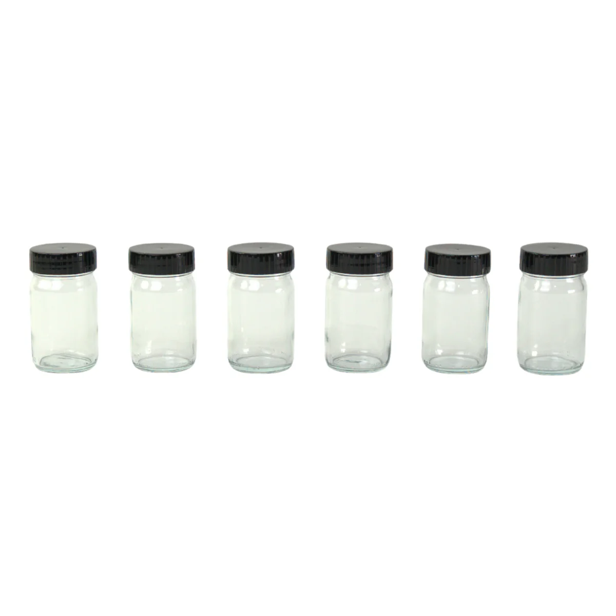 Paint Jars with Lids - 100ml - Set of 6
