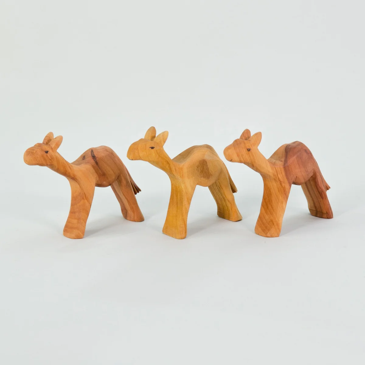 Predan Camel Small - Image 3