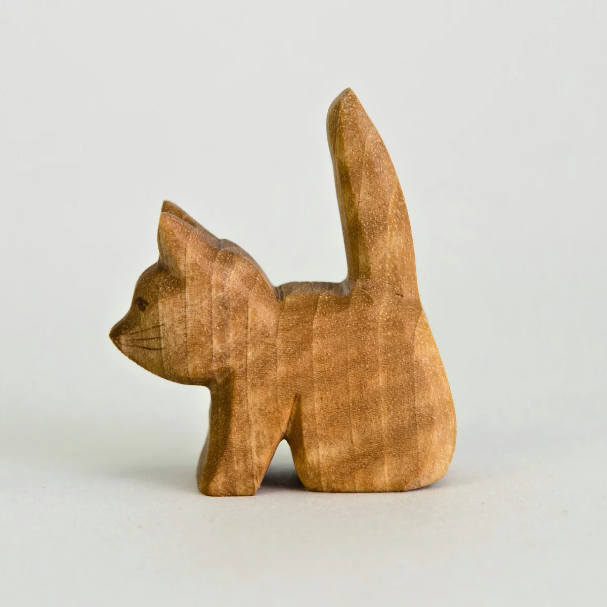 Predan Cat Sitting - Image 2