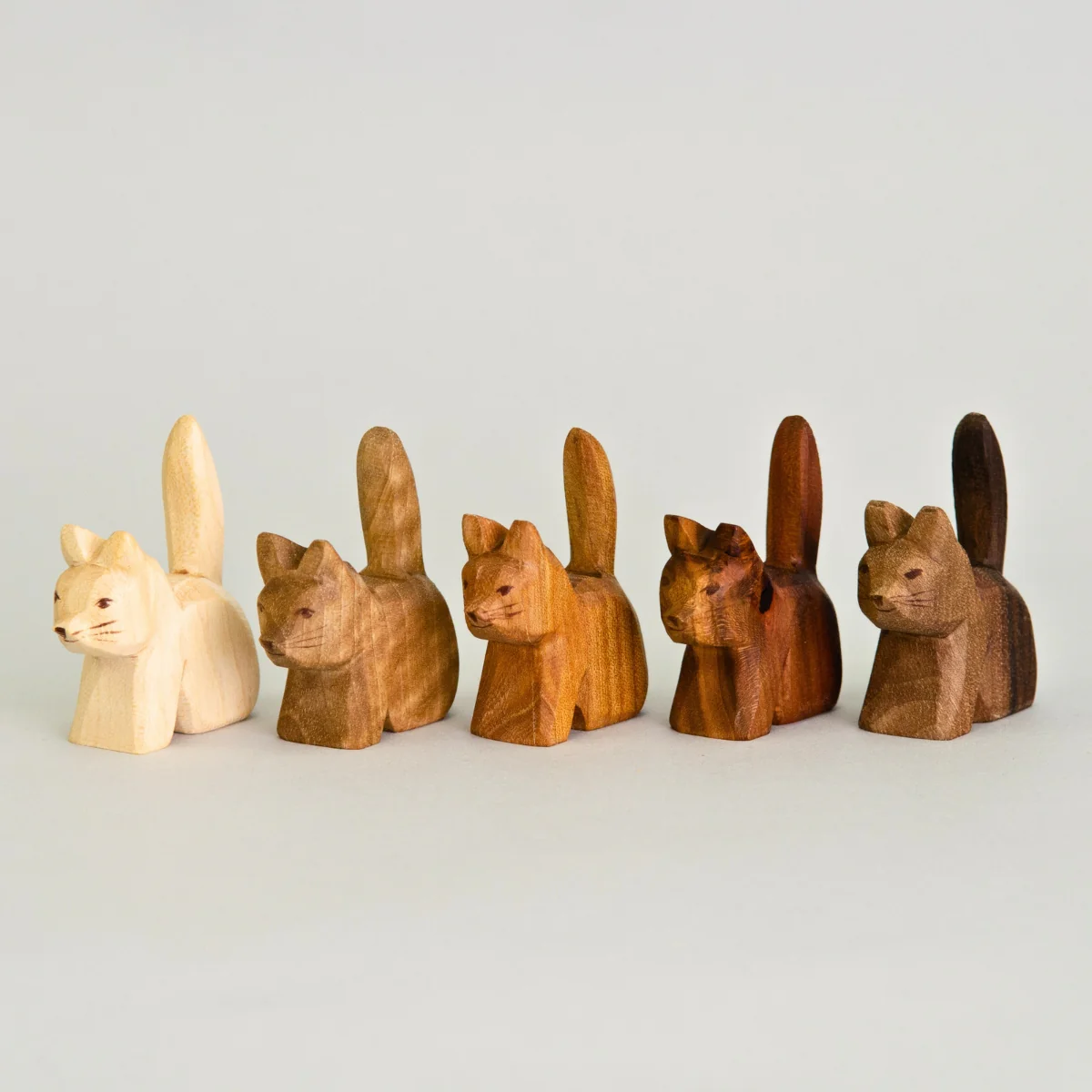 Predan Cat Sitting - Image 3