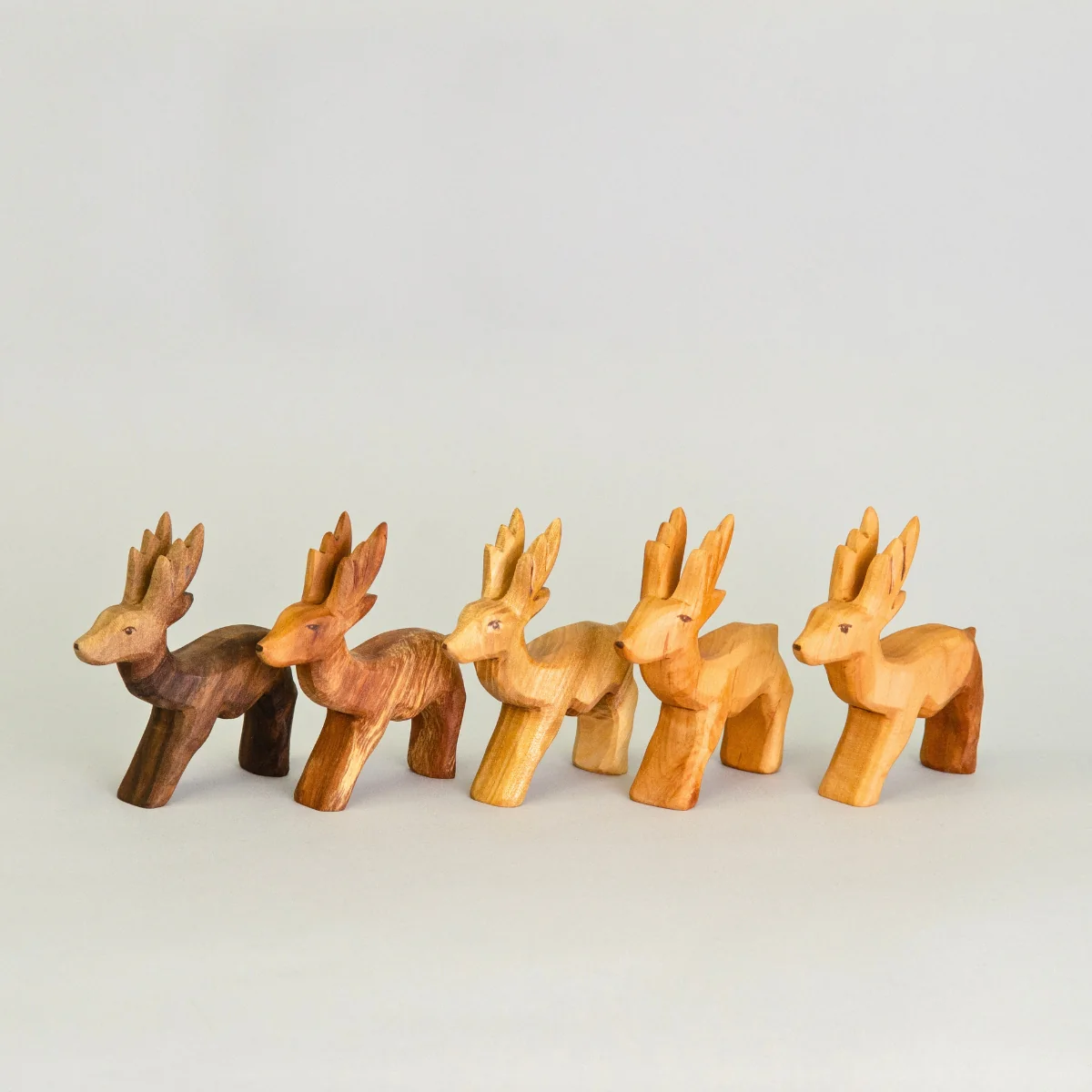 Predan Deer Roebuck - Image 3
