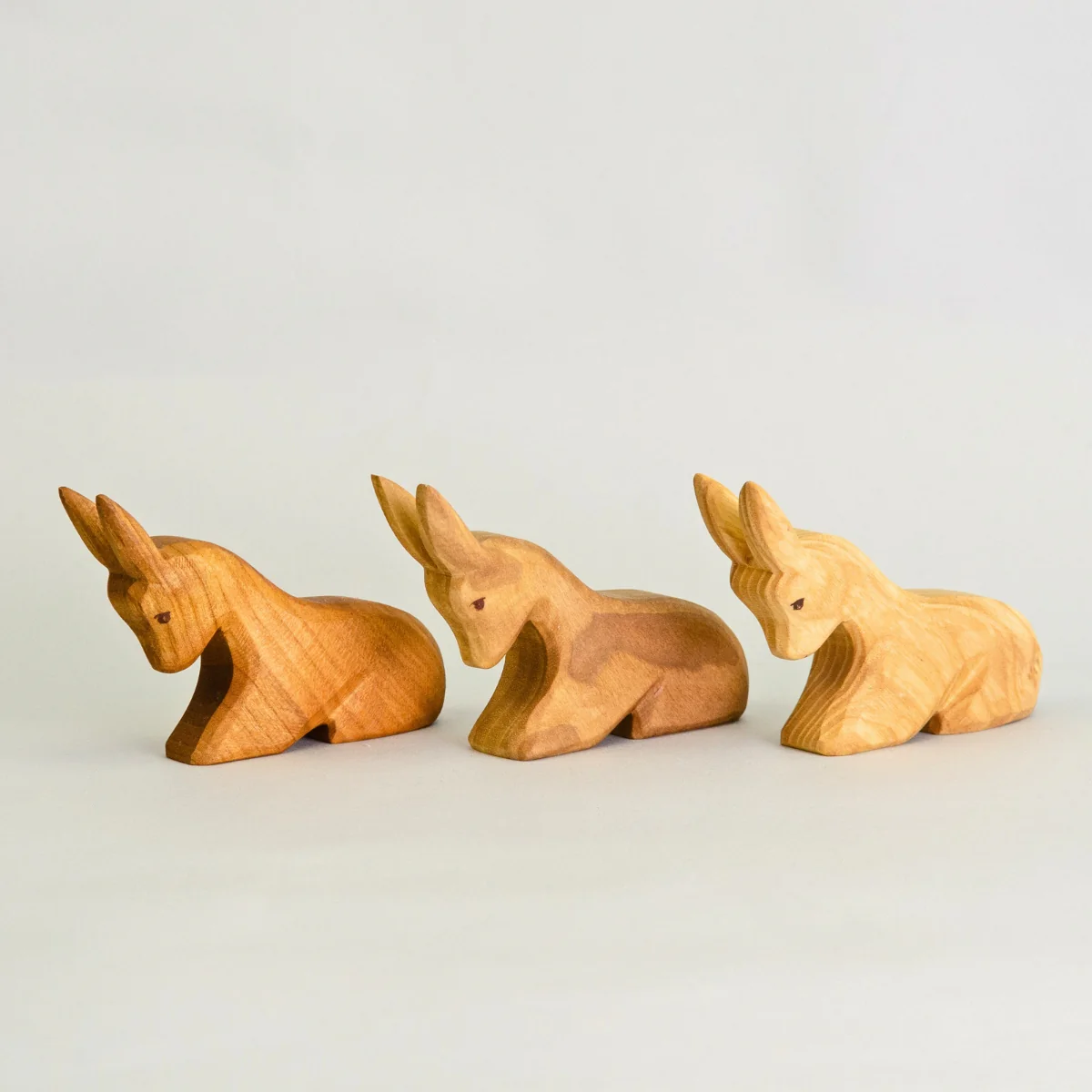 Predan Donkey Laying - Image 3