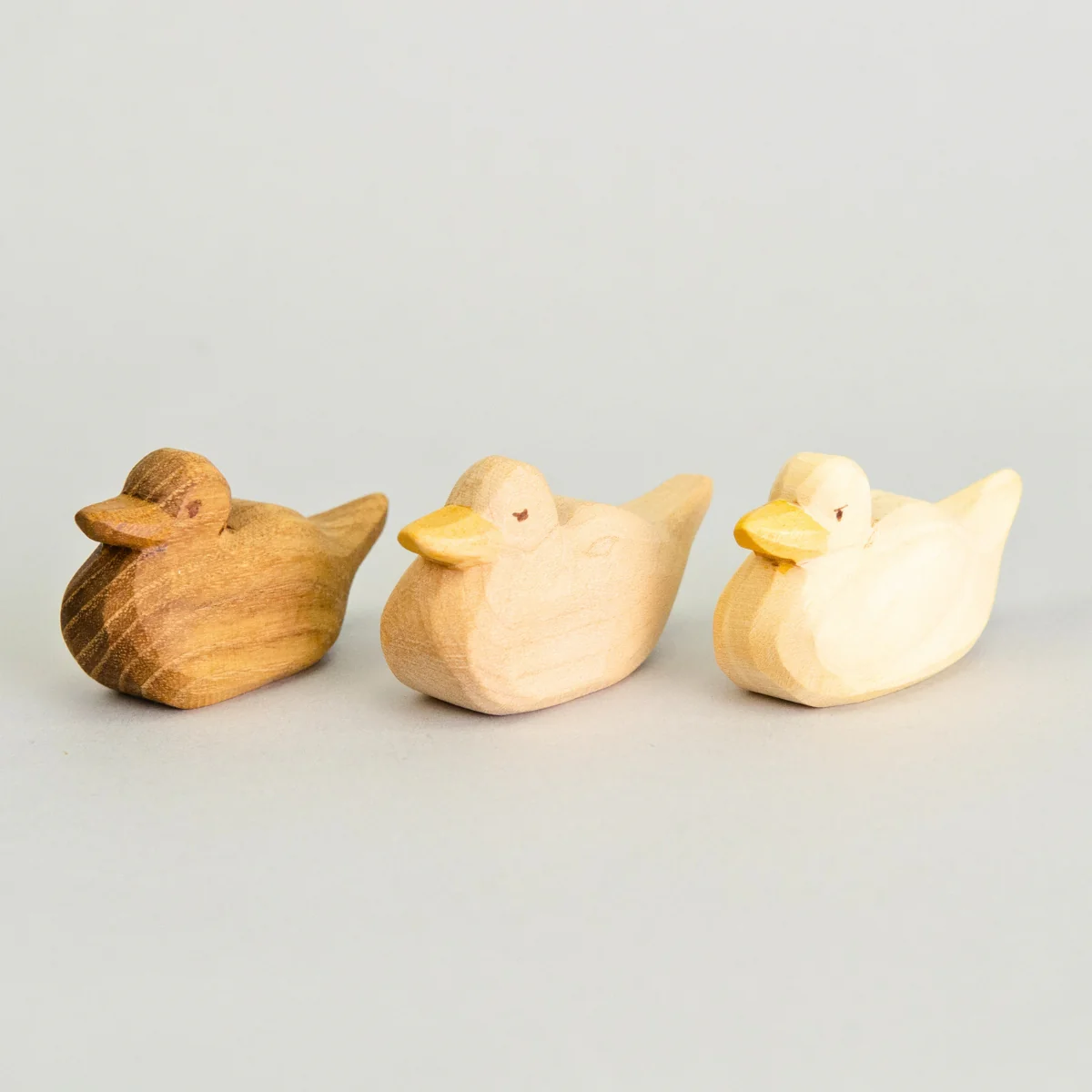 Predan Duck Swimming - Image 7
