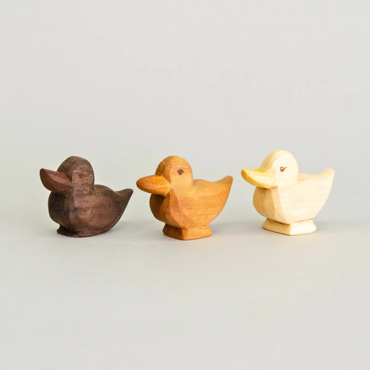 Predan Duckling Standing - Image 7