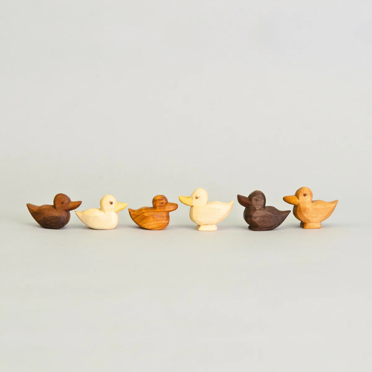 Predan Duckling Standing - Image 8