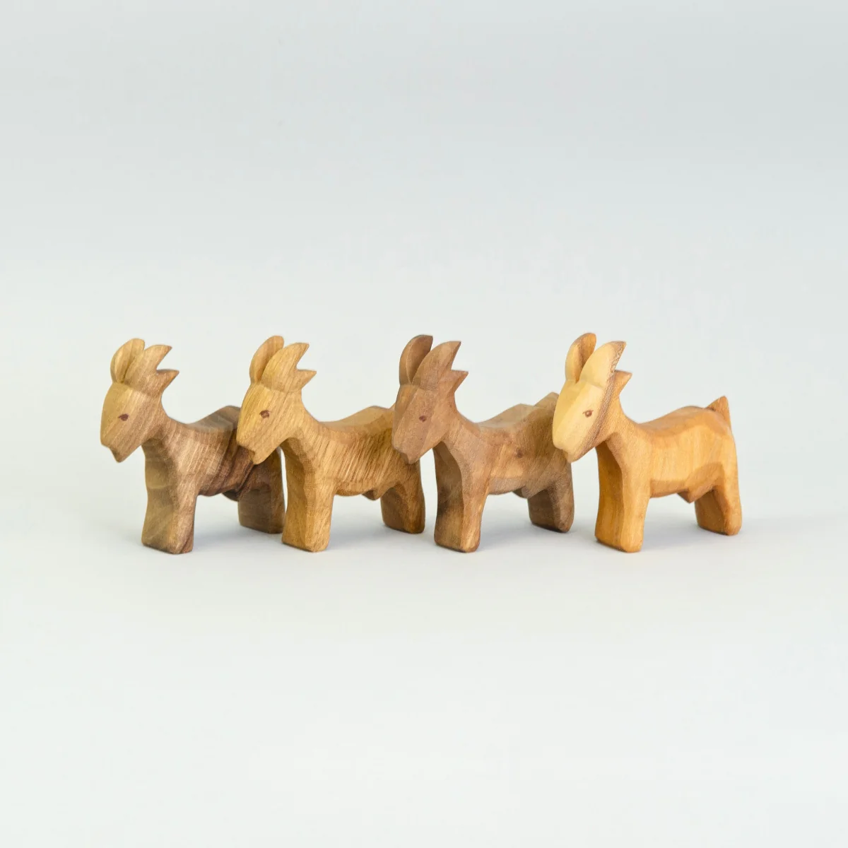 Predan Goat - Image 3