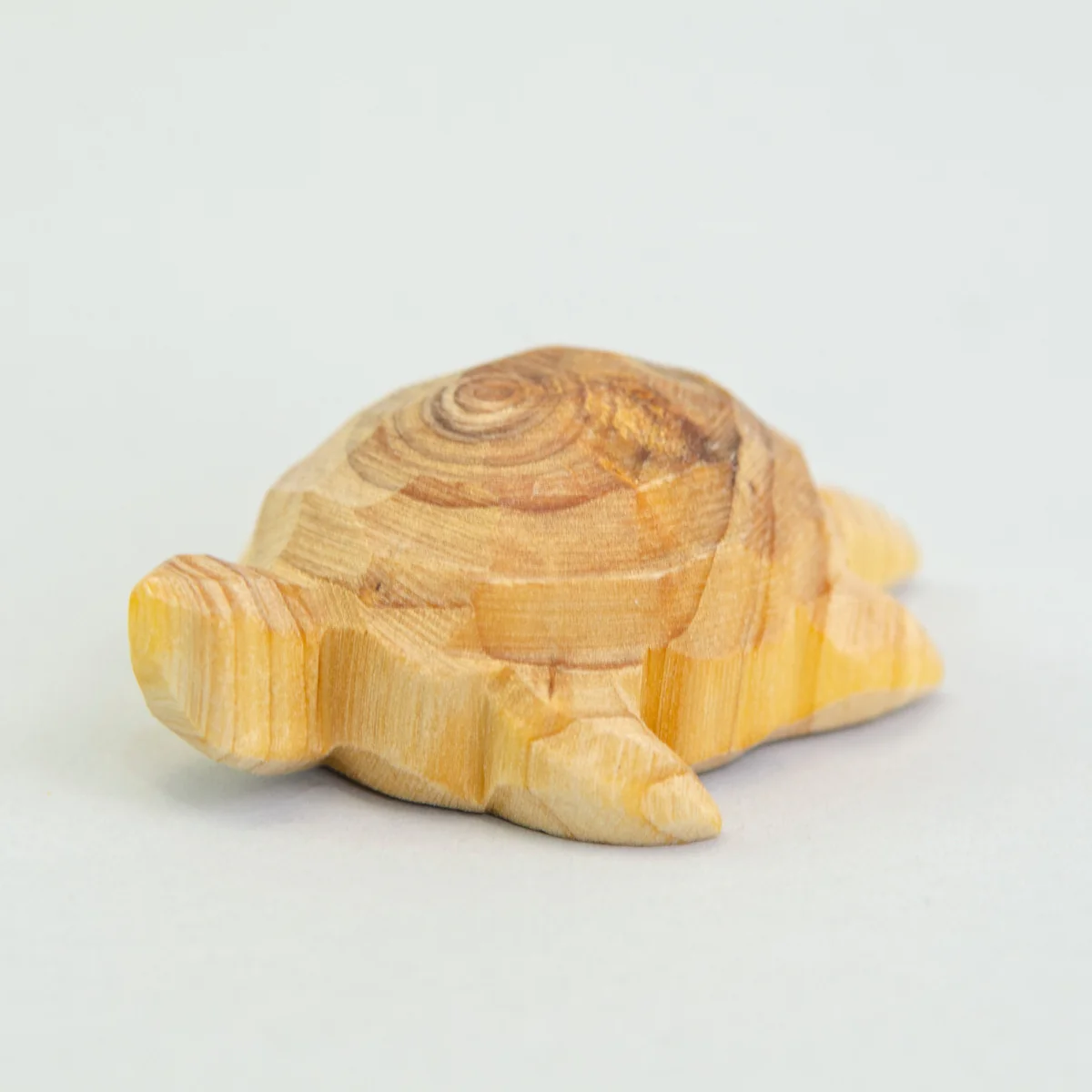 Predan Turtle - Image 6