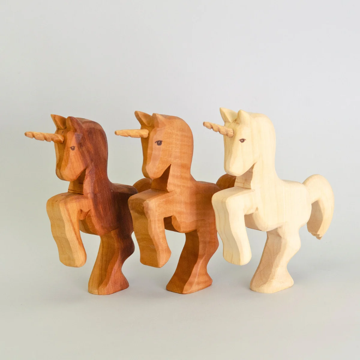 Predan Unicorn Rearing - Image 6