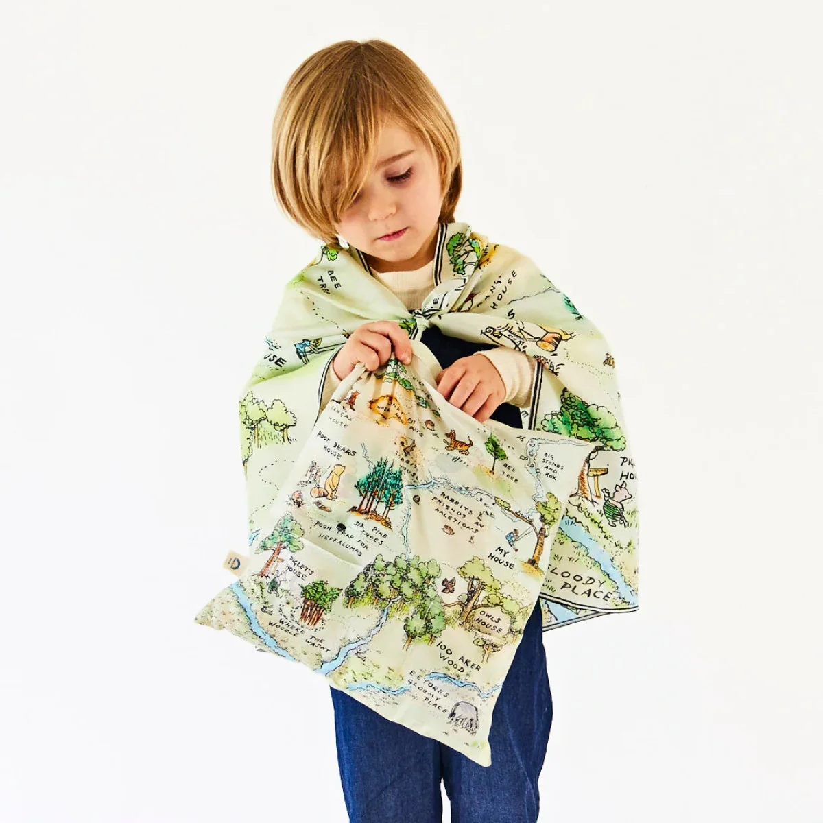 Sarah's Silks Winnie-the-Pooh Pillow - Image 5