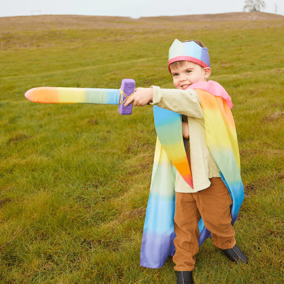 Sarah's Silks Shield - Rainbow - Image 4