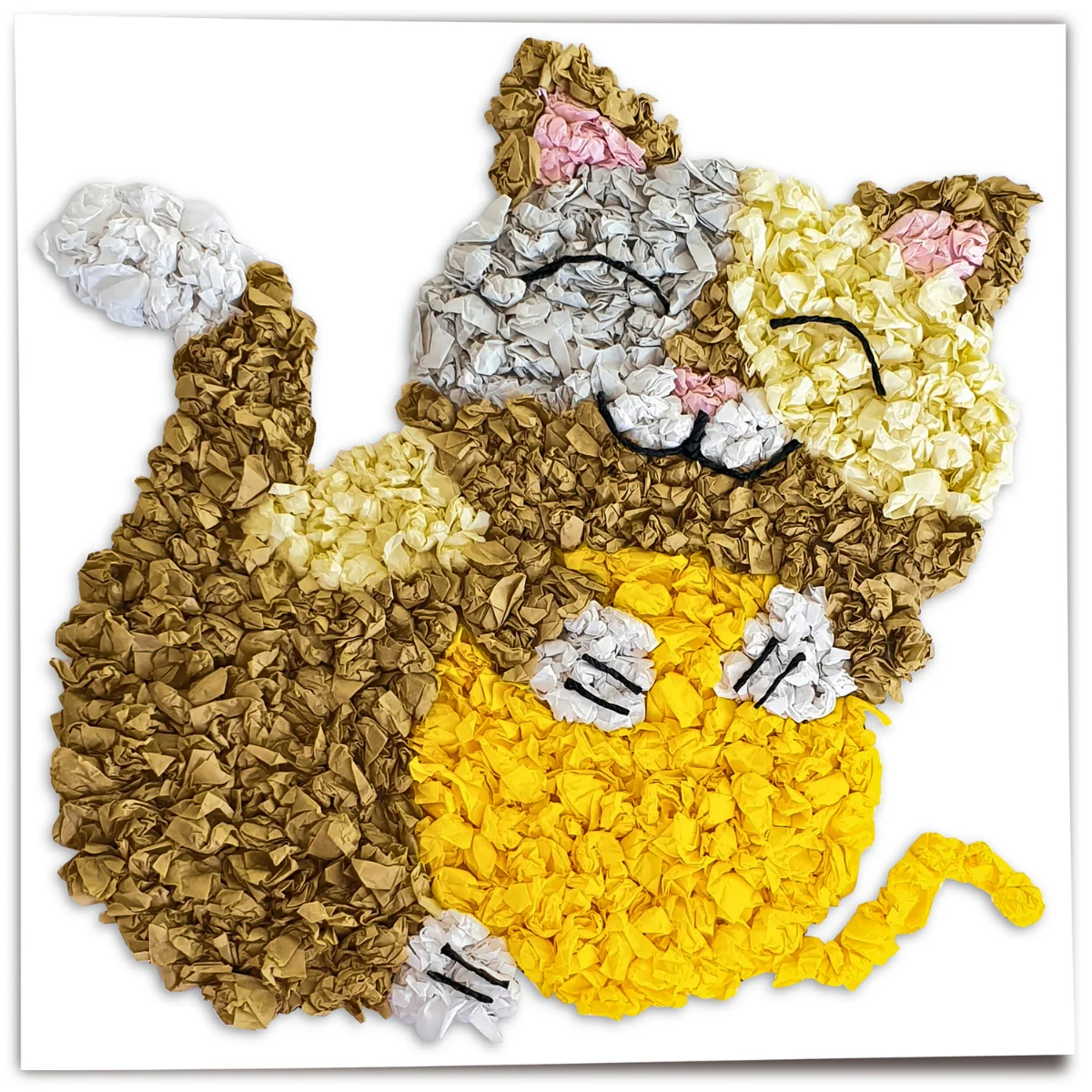 URSUS Scrunched Tissue Picture Kit - Set of 6 - Pets - Image 4