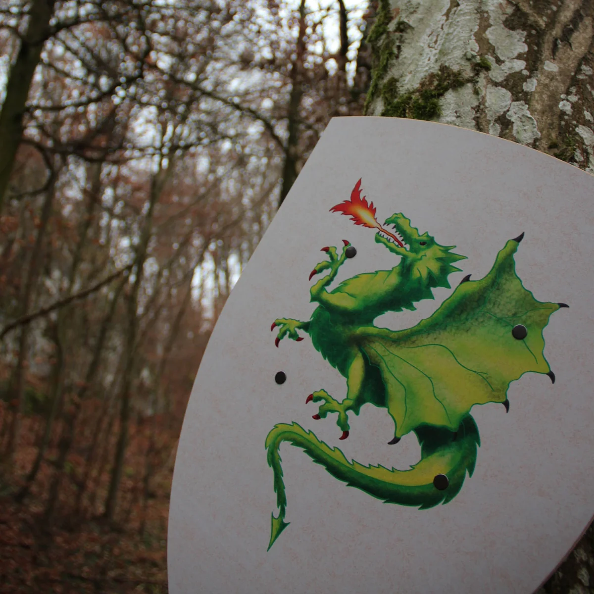 VAH Shield Creative Dragon - Image 2