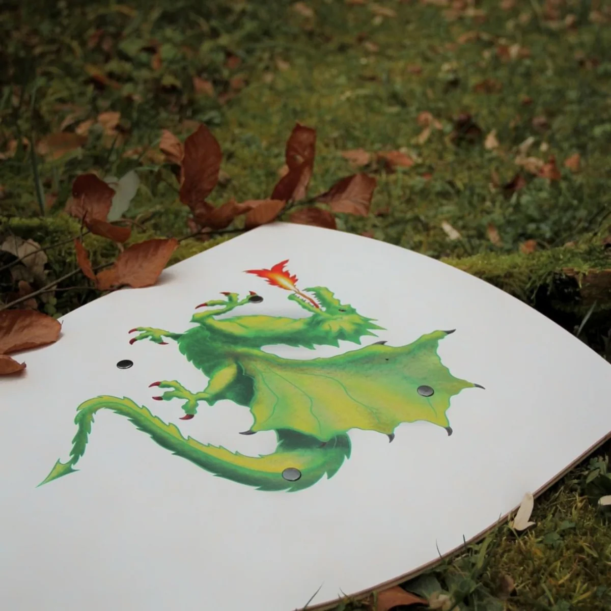 VAH Shield Creative Dragon - Image 3