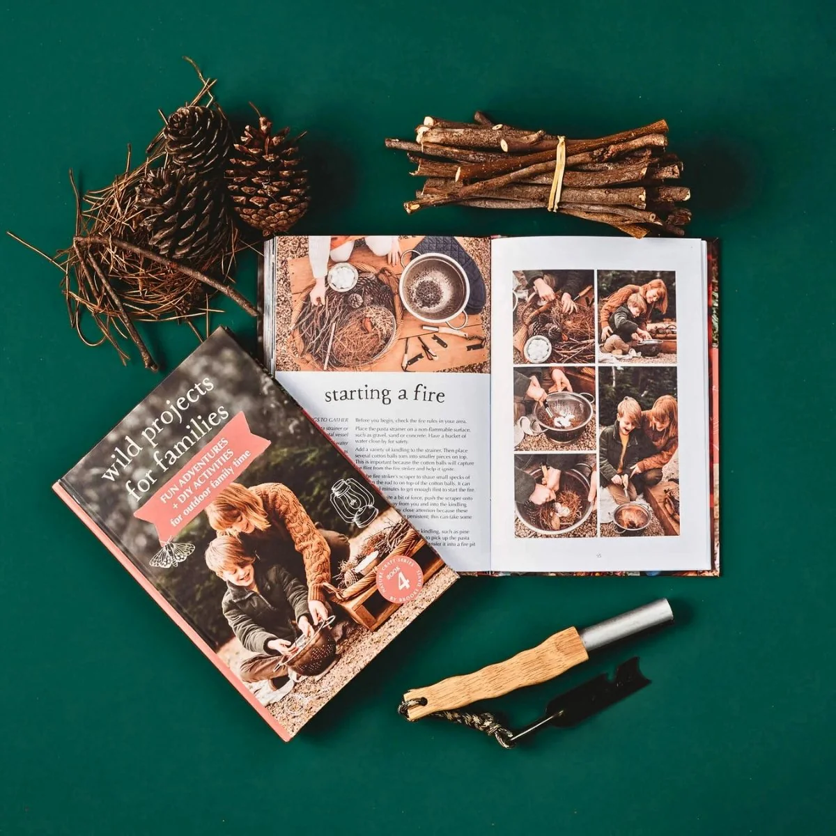 Your Wild Books - Projects for Families - Image 11