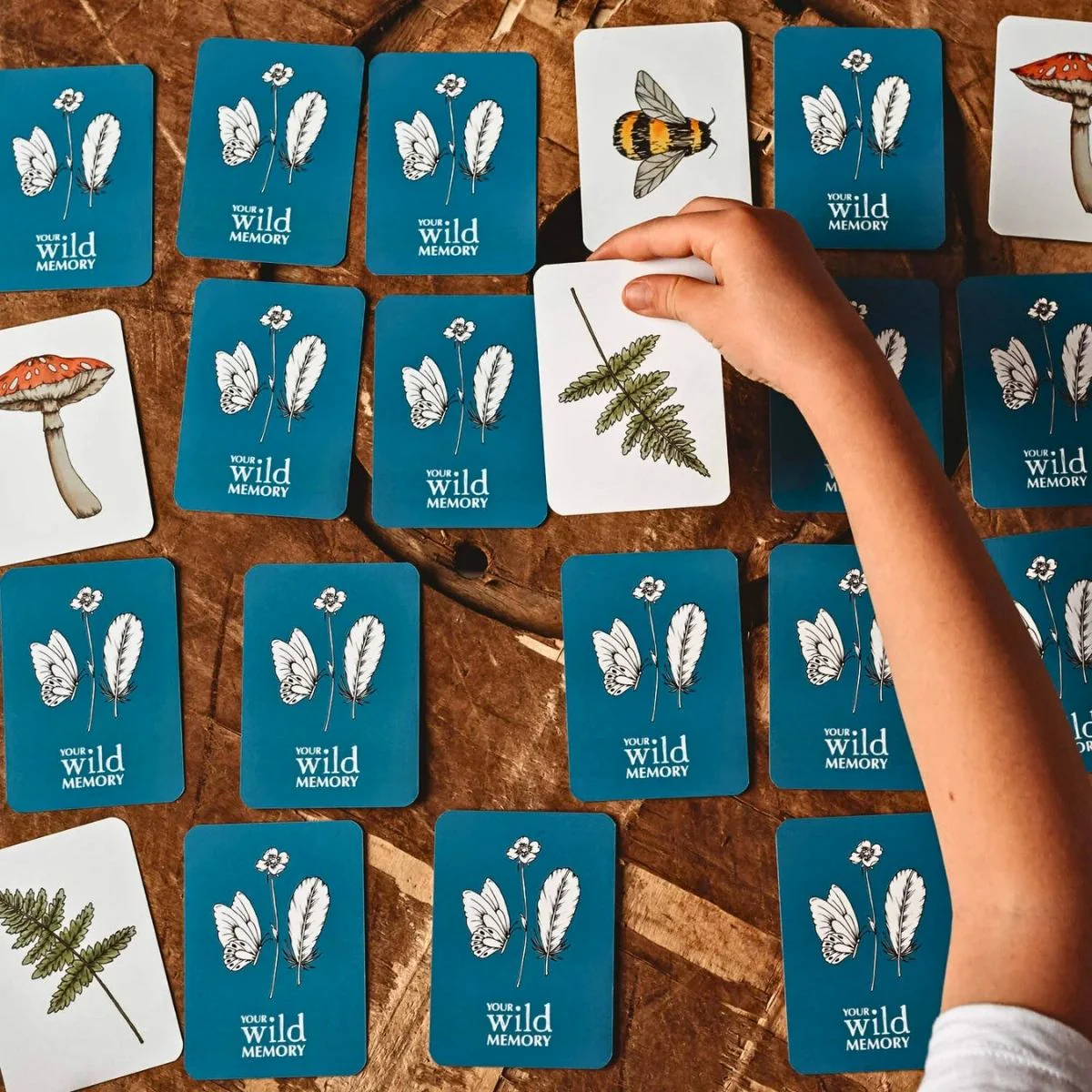 Your Wild Books - Card Games in Tin Case - Image 2
